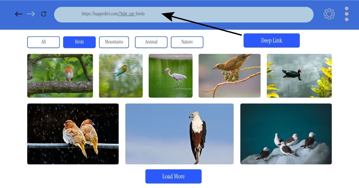 HappyDivi Gallery filter, pagination, deep link HappyDivi Gallery filter, pagination, deep link
