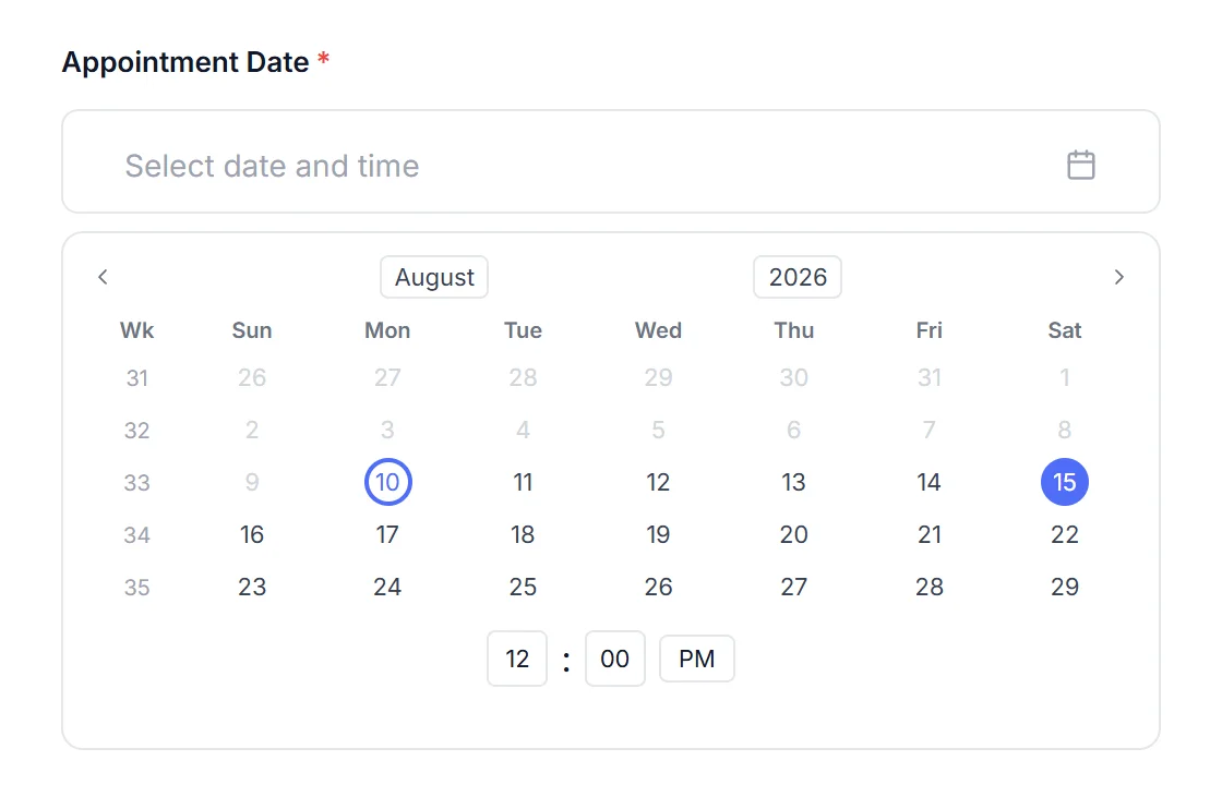 HappyDivi Form Date Time Field