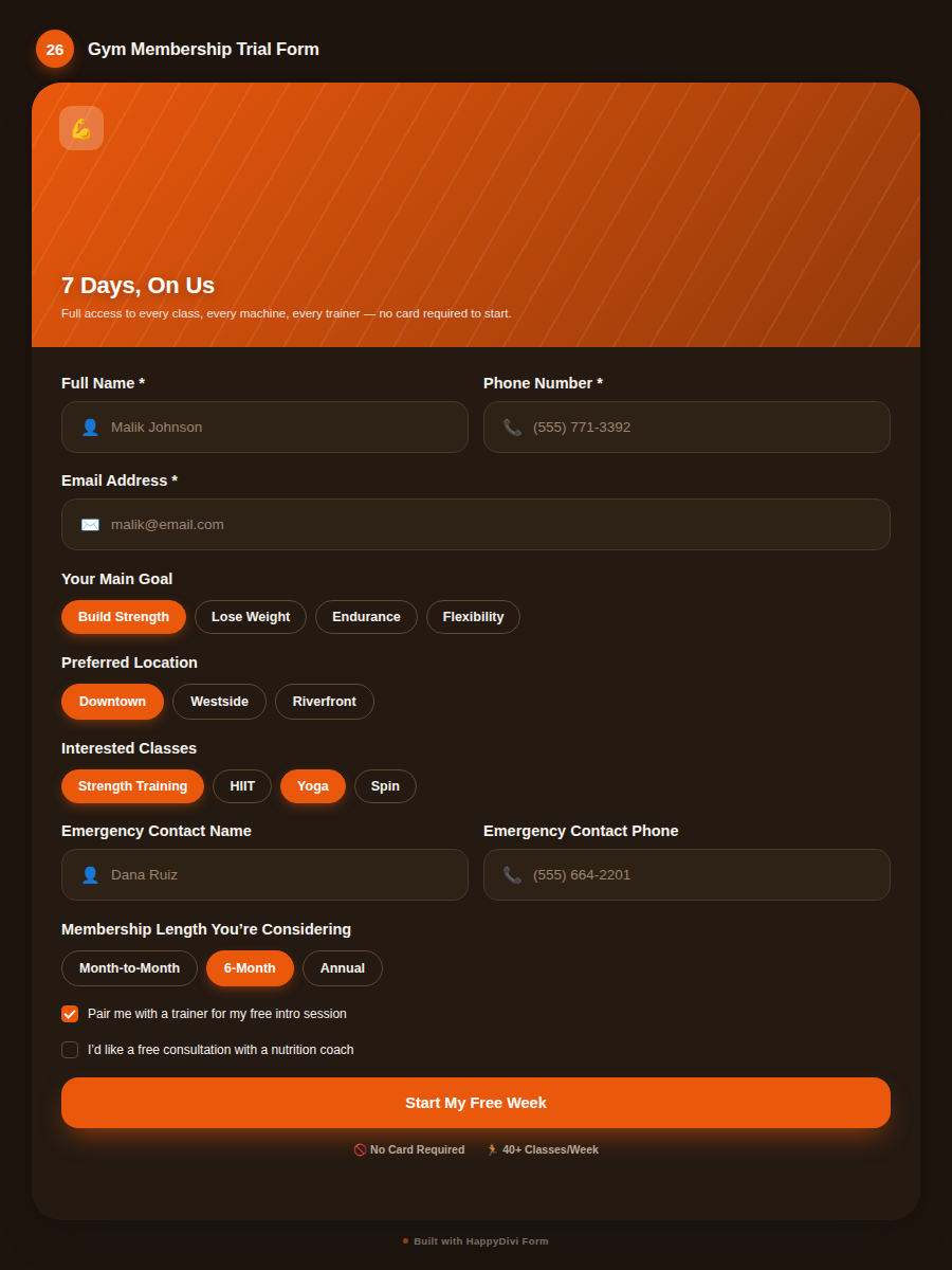 HappyDivi Form Demo Design
