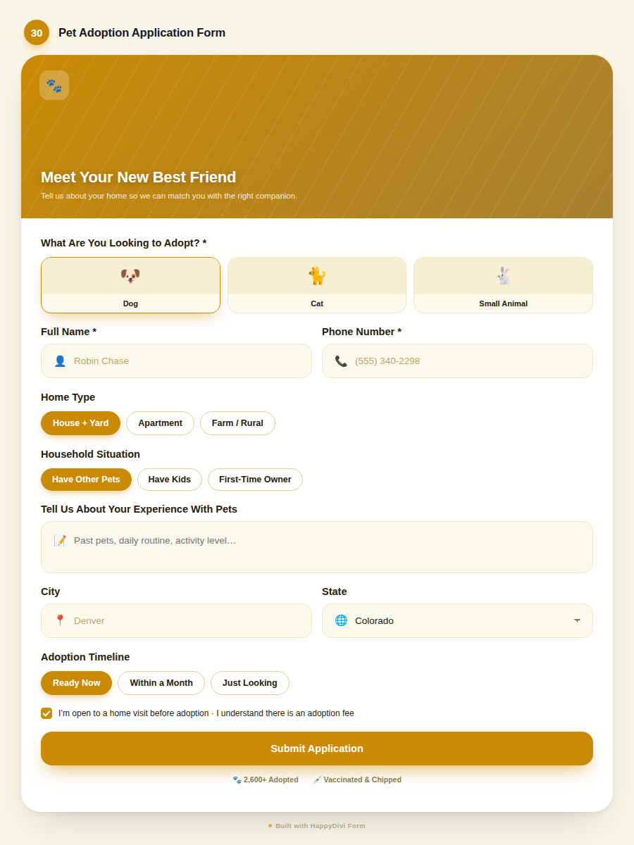 HappyDivi Form Demo Design